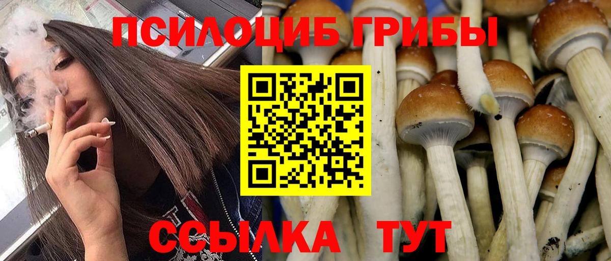 Псилоцибиновые грибы Psilocybine cubensis  Вход с VPN  Кашира 