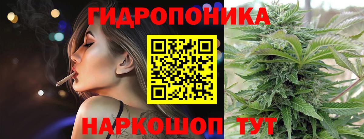 Шишки марихуана OG Kush Кашира